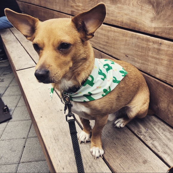 Meet your Posher, Haley - Picture 1 of 1